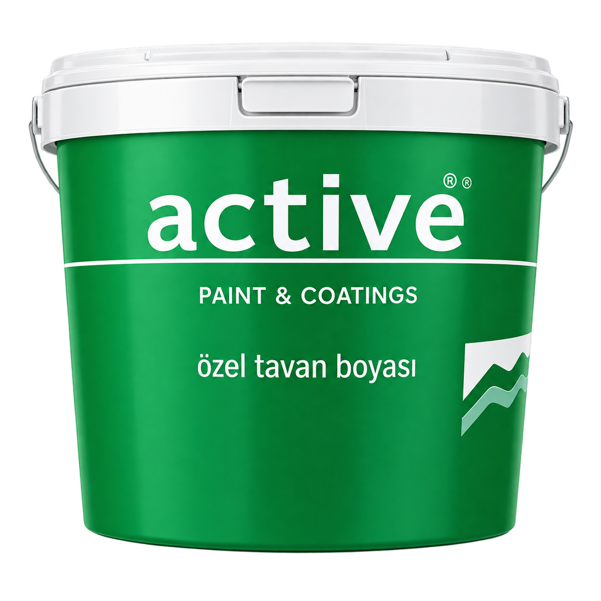 Özel Tavan Boyası