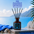 Okyanus Ortam Kokusu Bambu Çubuklu 120 ML